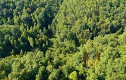 Tbd Banks Fork Road, Campton, KY 41301