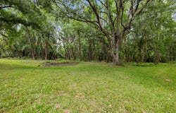 NEWMAN CIRCLE, LAKELAND, FL 33811