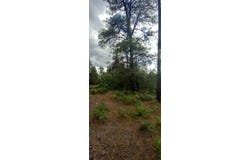 1781, Chama, NM 87520
