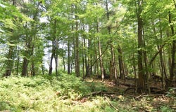 0 24 3/4 Street, Chetek, WI 54728