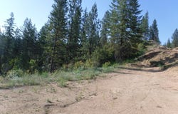 Lot 2 Moose Ridge Way, Loon Lake, WA 99148