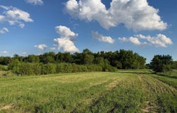 10712 Tory Road, Britton, SD 57430