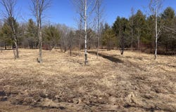 0 Miller Road, Mooers Forks, NY 12959