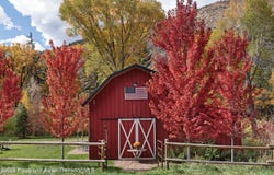 4054 Lower River Road, Snowmass, CO 81654