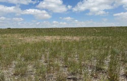 5145 Bel Vista Drive, Bar Nunn, WY 82601