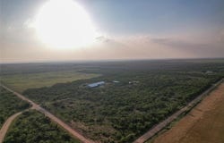 14867 County Rd 407, Trent, TX 79561