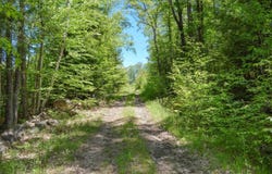 00 Mulligan Row, Westmoreland, NH 03467