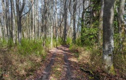 3199 Woodcock Rd, Sequim, WA 98382
