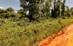Lot #2 - 6.2 Ac Perry Horton, Adrian, GA 31002