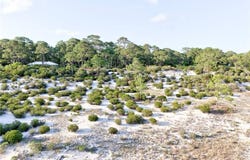 Audubon Place, Dauphin Island, AL 36528