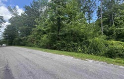 0 COUNTY ROAD 88, GUIN, AL 35563