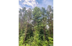 3109 County Road 41, Fyffe, AL 35971