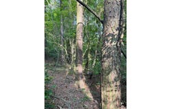 XXX HWY 70, Kirby, AR 71950