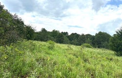 0001 E 1960 Rd, Antlers, OK 74523