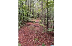 OLD FOREST DRIVE lot: 17A, ODENVILLE, AL 35120