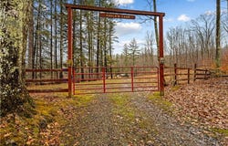 White Oak Knob Road, Webster, WV 26288