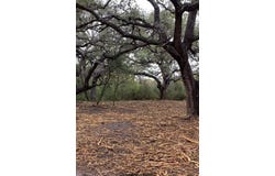 Leslie Lane, Beeville, TX 78102