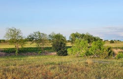 975 County Rd 458 (10 Acres), Coupland, TX 78615