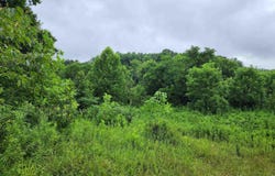 TBD State Road 54, Springville, IN 47462