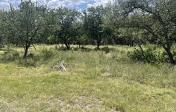 713 Mountain Creek Trail, Boerne, TX 78006