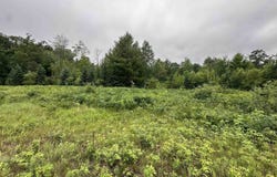 LOT 41 POINT TRAIL, Wisconsin Rapids, WI 54494