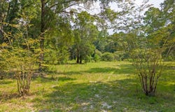 NE 676th Ln, Old Town, FL 32680
