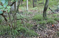 lOT 6 Jose Lake Drive, South Branch, MI 48761