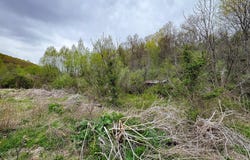 610 LONG LANE, LEWISTOWN, PA 17044