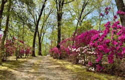 4216 Tranquility Road, Fayetteville, NC 28306