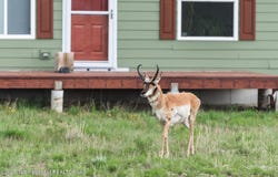 58 BLACKHAWK Trail, Boulder, WY 82923