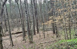 Butler Road Lot 4, Decatur, TN 37322