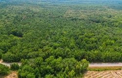 Monticello, AR 71655