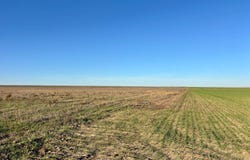 County Road K, Brewster, KS 67732