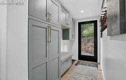 36 Coot Place, Alma, CO 80440