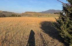 WINDSONG DRIVE, LAHMANSVILLE, WV 26731