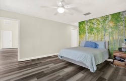 60 Birdsong Ct, Oldsmar, FL 34677