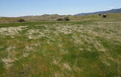 Hwy 198, Coalinga, CA 93210