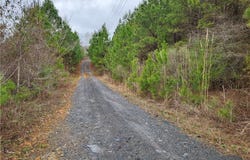 5 Milldale Road, Brookwood, AL 35444
