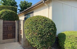 1241 Glen Lake Avenue, Brea, CA 92821