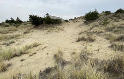 PACIFIC VIEW Dr, Florence, OR 97439