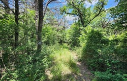 533 Lcr 721, Kosse, TX 76653