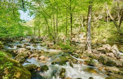 39 Acre Tumbling Creek Rd, Saltville, VA 24370