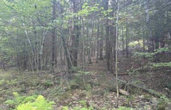 0 Thayer Road, Westminster, VT 05158