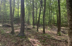189 Covenant Circle, New Lebanon, NY 12062