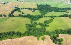 Floral Road, Pleasant Plains, AR 72501