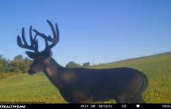 Elk Creek Road, Viola, WI 54664