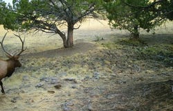 0 Davis Creek Rd., John Day, OR 97845