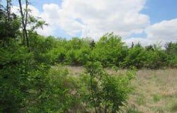 E Red Tail Rd, Hutchinson, KS 67502