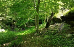 5579 Falls of Rough Road, Caneyville, KY 42721