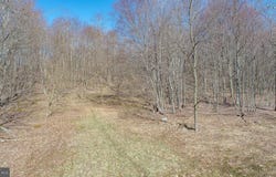 Lot 94 MOUNTAINTOP ROAD, MC HENRY, MD 21541